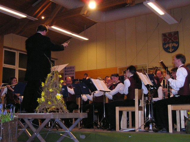 Konzert der Stadtkapelle Herrenberg
