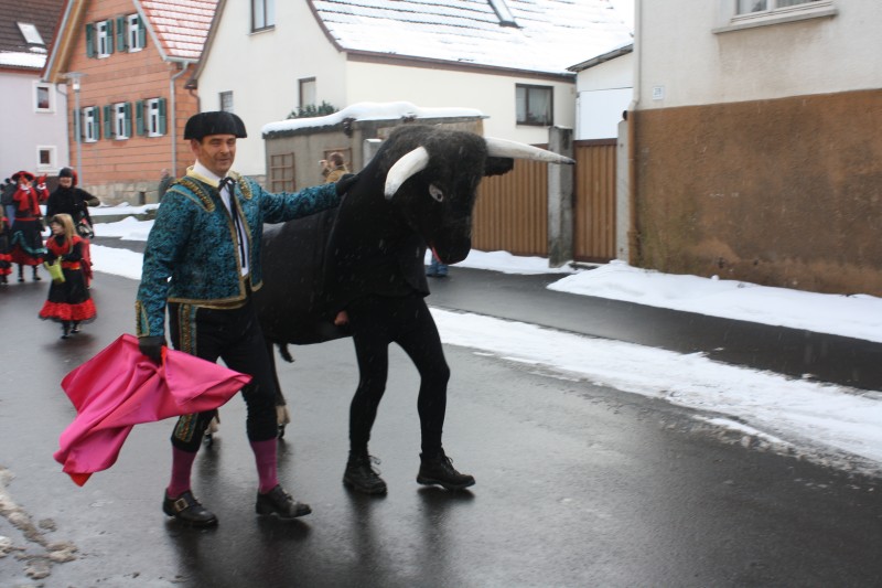 fasching2010_010.jpg