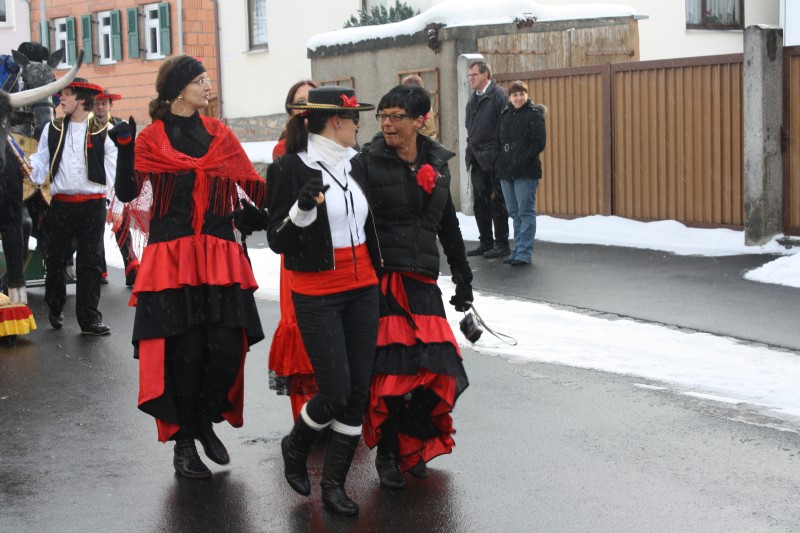 fasching2010_012.jpg