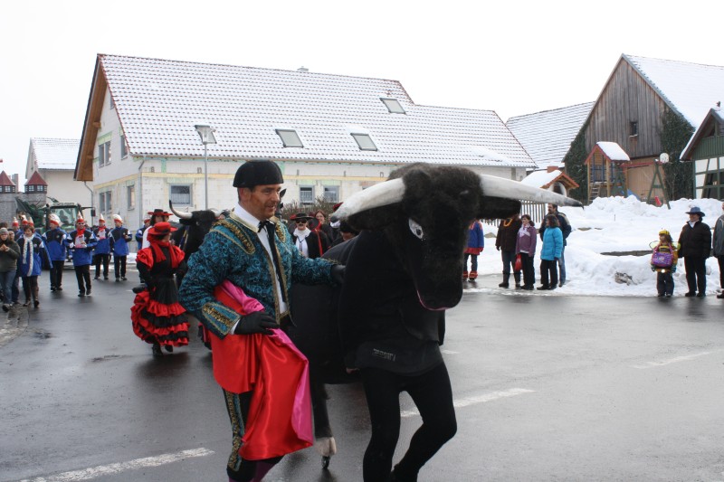 fasching2010_062.jpg