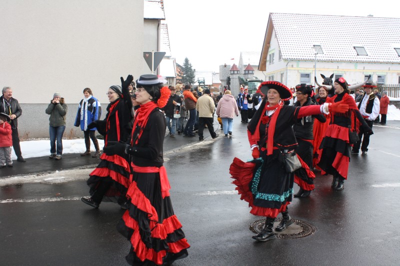 fasching2010_063.jpg