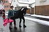 fasching2010_010.jpg