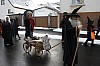 fasching2010_033.jpg