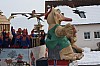 fasching2010_079.jpg