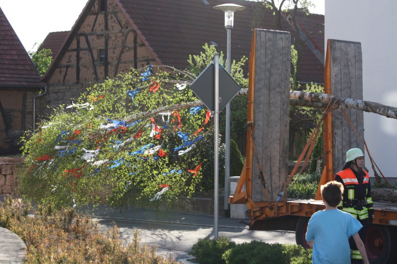 maibaumaufstellung_26.jpg