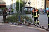 maibaumaufstellung_38.jpg