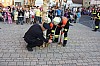 maibaumaufstellung_63.jpg