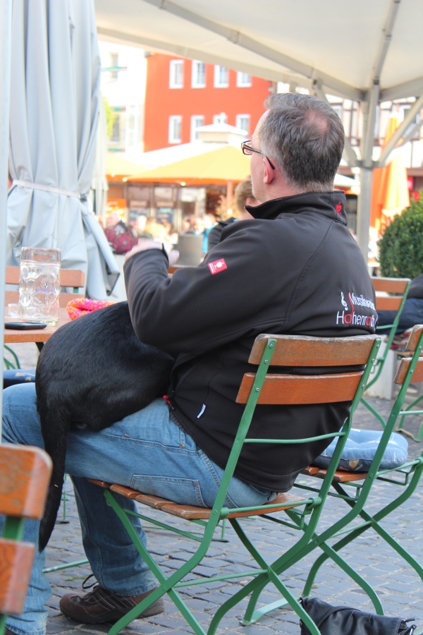 bild_44.JPG