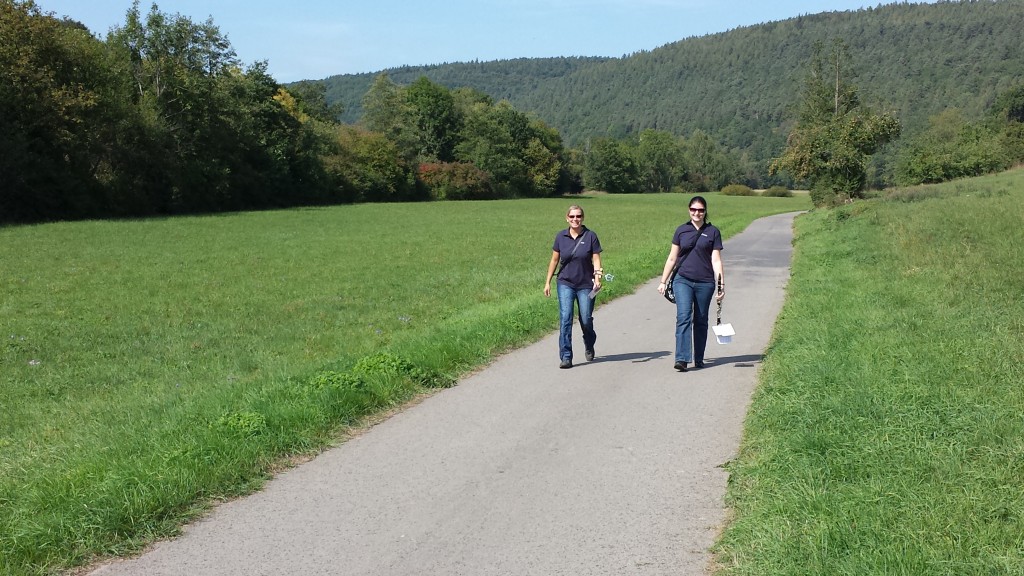 bild_15.jpg