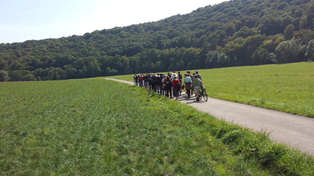 bild_16.jpg