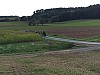 bild_53.jpg