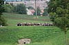 bild_67.jpg
