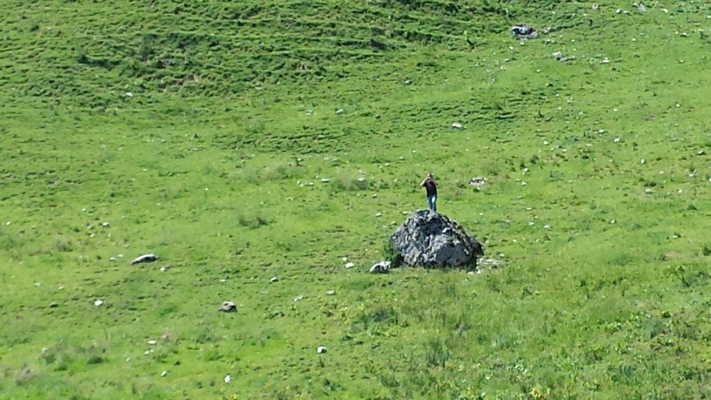 20150710_140350.jpg
