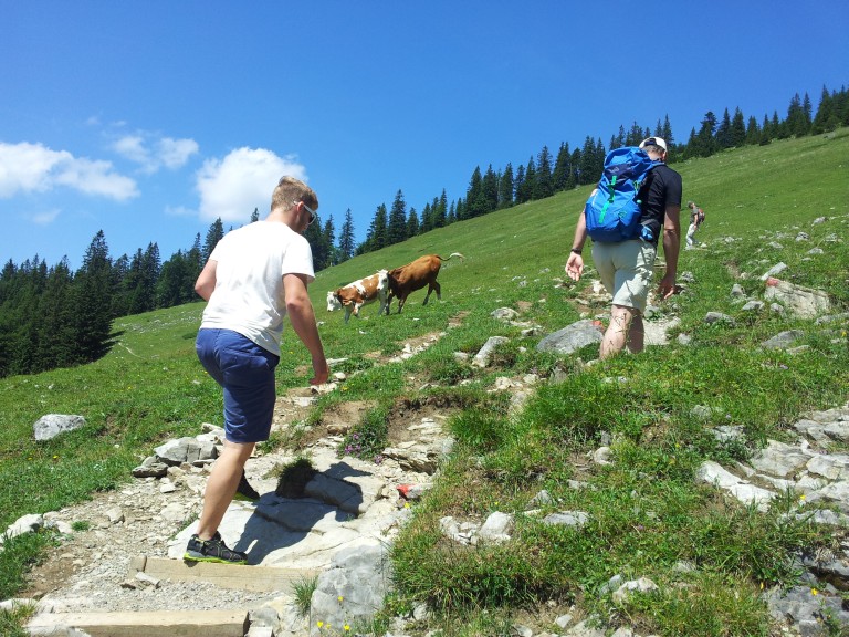 20150710_140818.jpg
