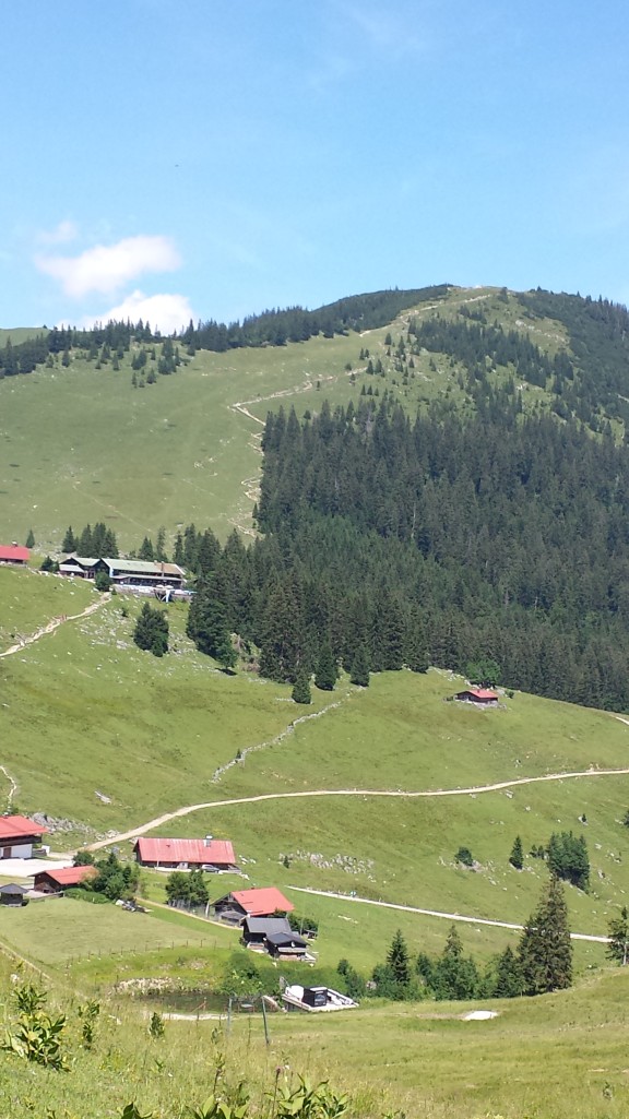 20150710_143428.jpg
