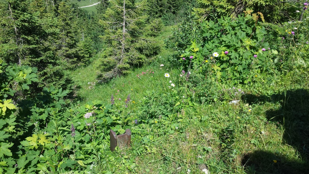 20150710_145521.jpg