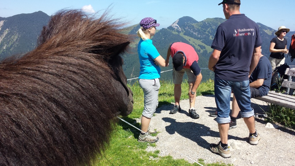 20150710_153515.jpg