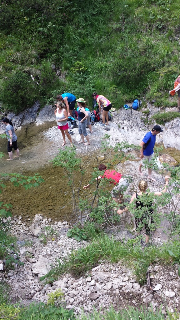 20150711_140243.jpg