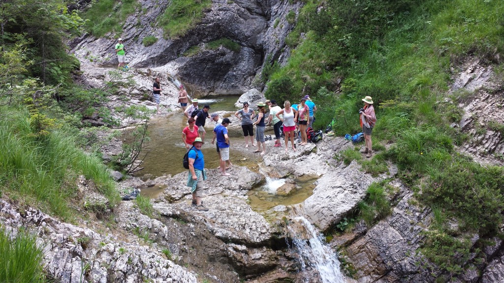 20150711_140322.jpg