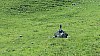 20150710_140350.jpg