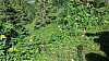 20150710_145521.jpg
