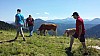 20150710_152524.jpg