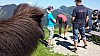 20150710_153515.jpg