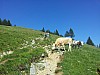 20150710_155852.jpg