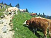 20150710_155858.jpg
