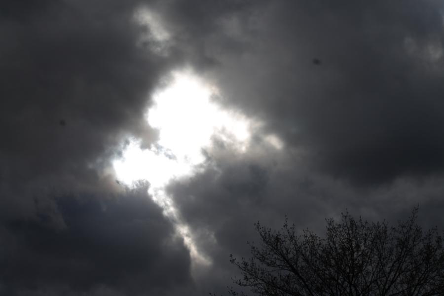 bild_01.jpg