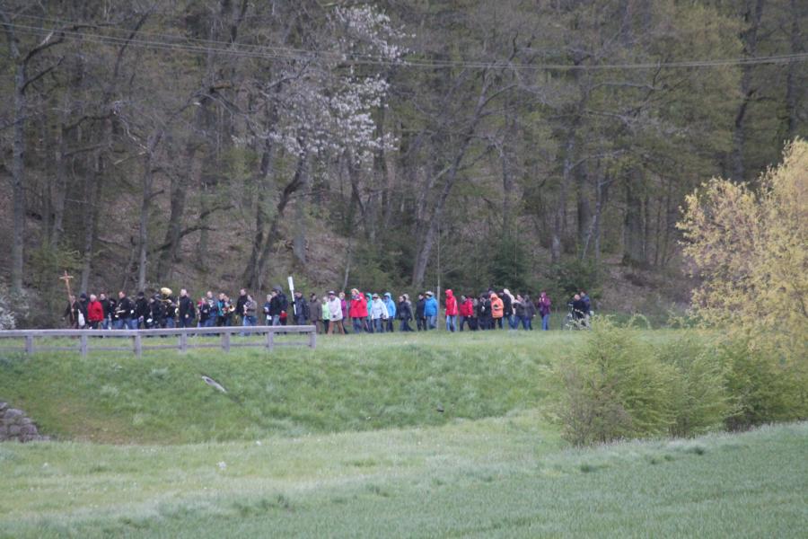 bild_21.jpg