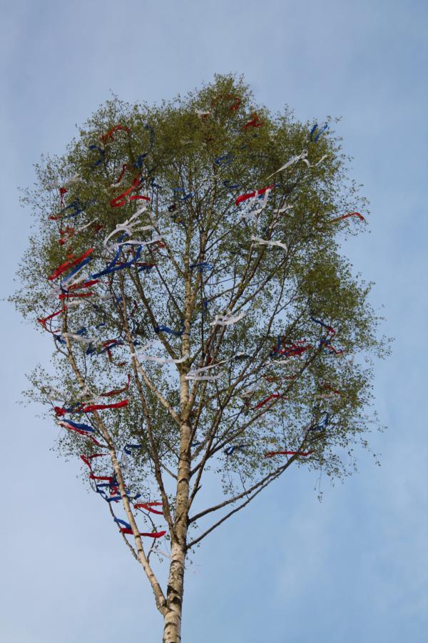 bild_001.jpg