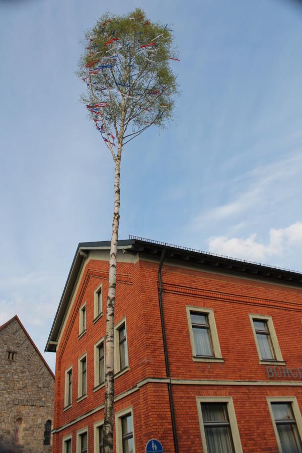 bild_002.jpg