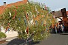 bild_056.jpg