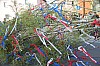 bild_065.jpg