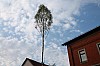 bild_093.jpg
