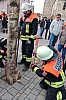 bild_101.jpg