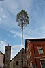 bild_102.jpg