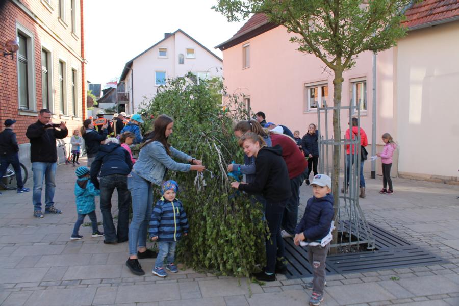bild_204.jpg