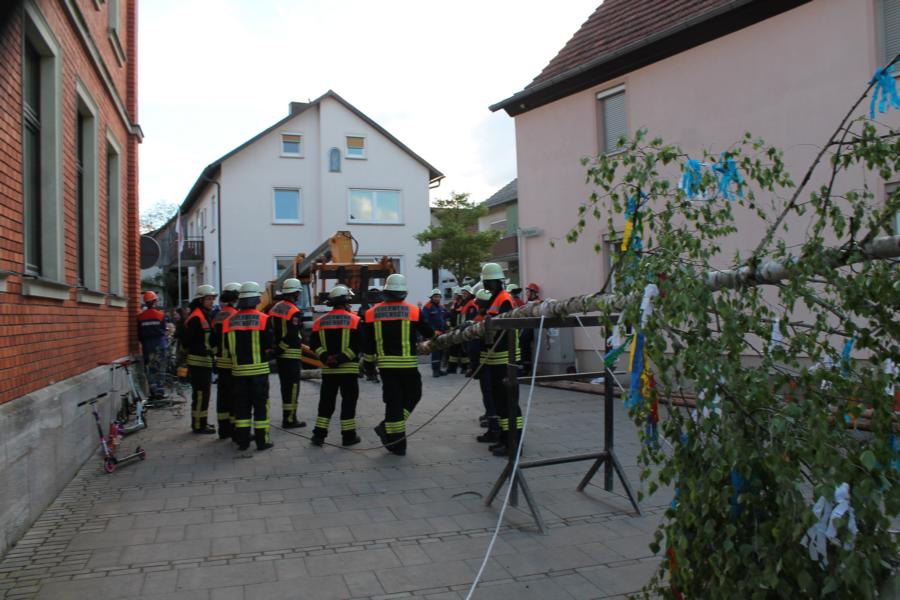 bild_262.jpg