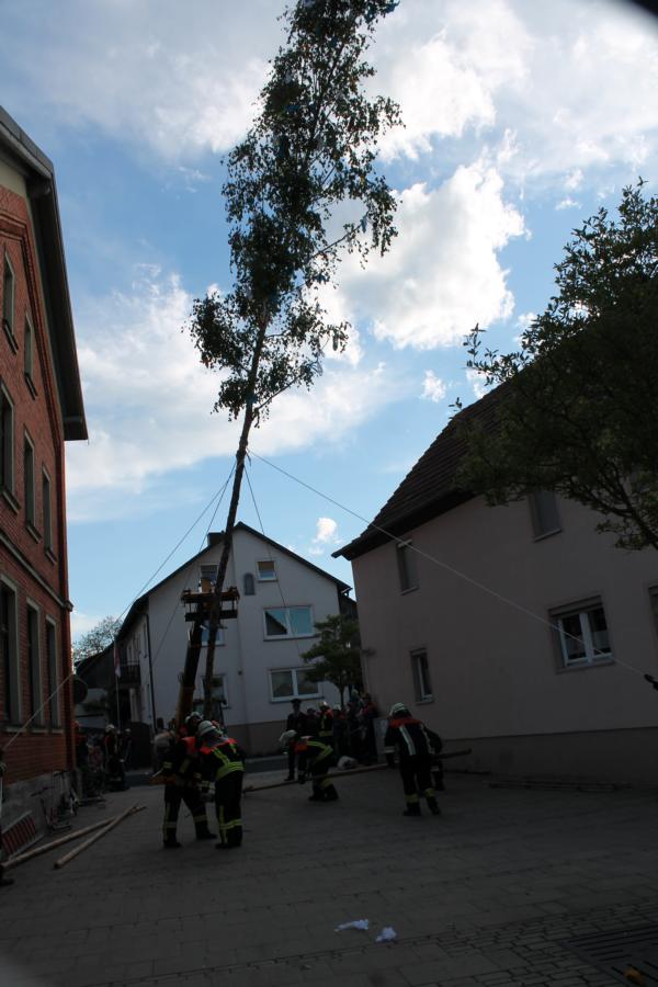 bild_295.jpg