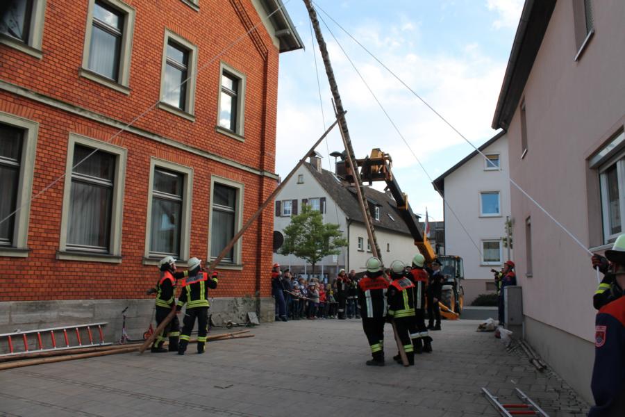 bild_298.jpg