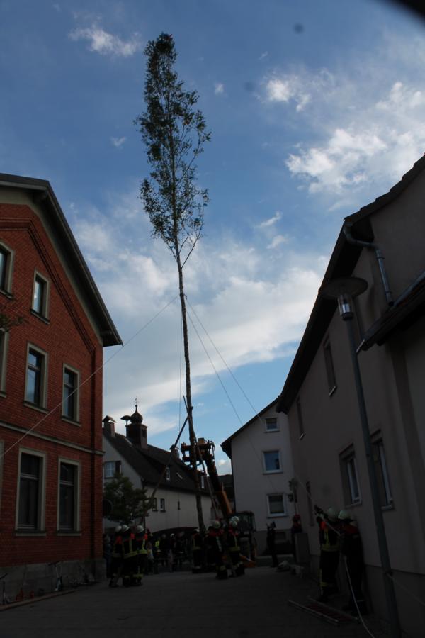 bild_305.jpg