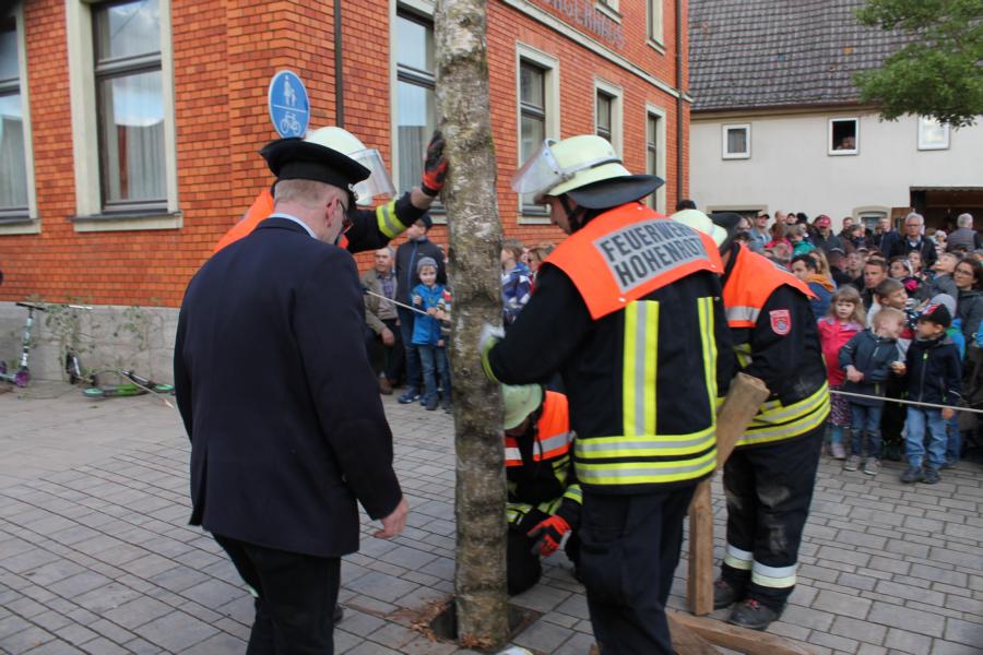 bild_312.jpg
