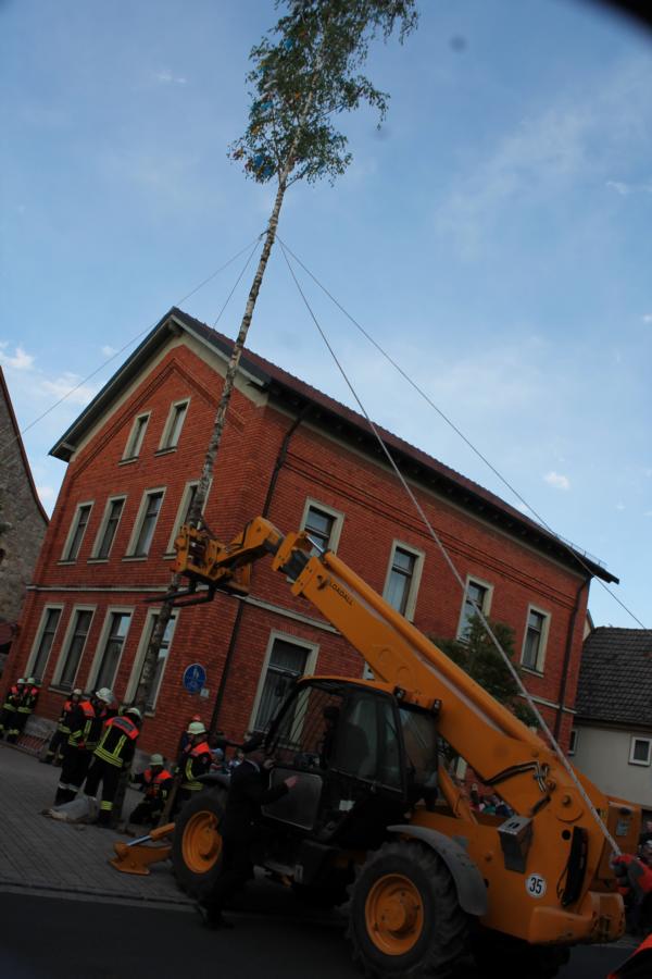 bild_315.jpg