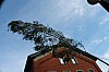 bild_296.jpg