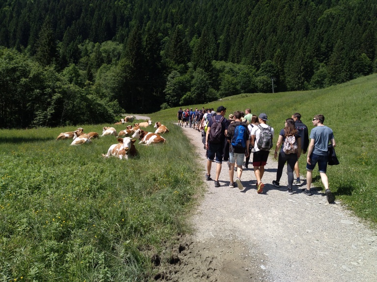20180616_113401.jpg