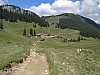 20180615_144112.jpg