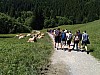 20180616_113401.jpg