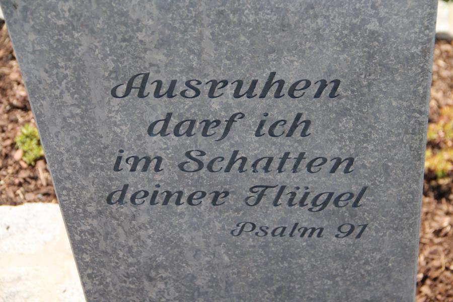 bild_74.jpg